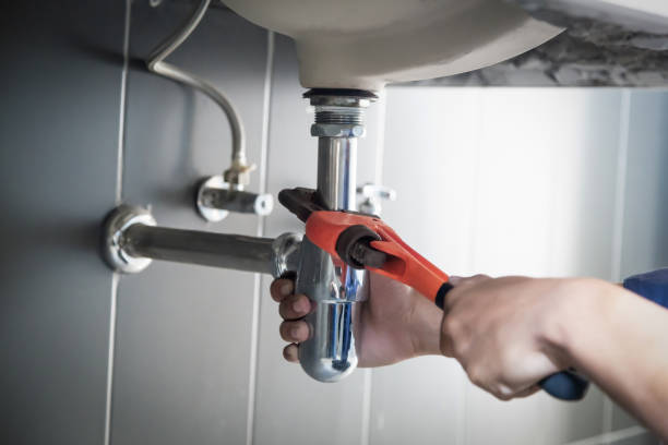 Best Clogged Drain Plumber  in Mulberry, FL
